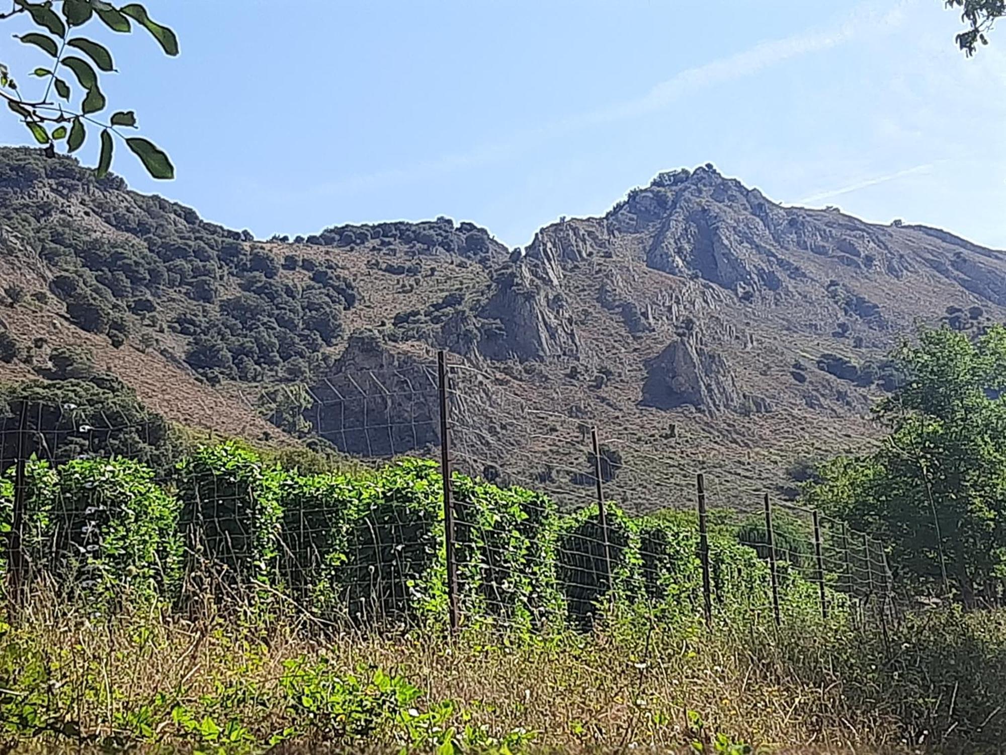 Las Ildas Anguiano Exterior photo